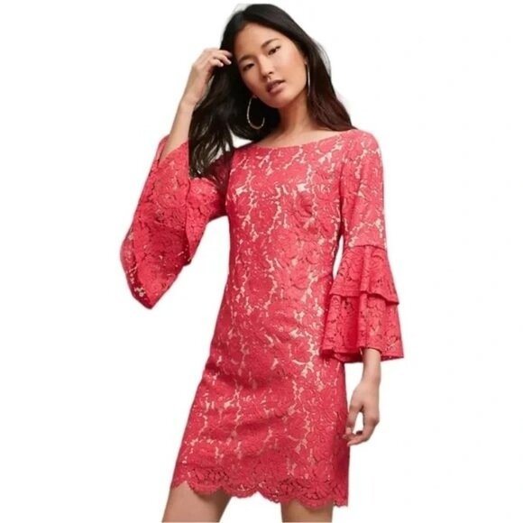 Eliza J Andressa Pink Lace Knee Length Lined Dress Sz 10 - Picture 2 of 13